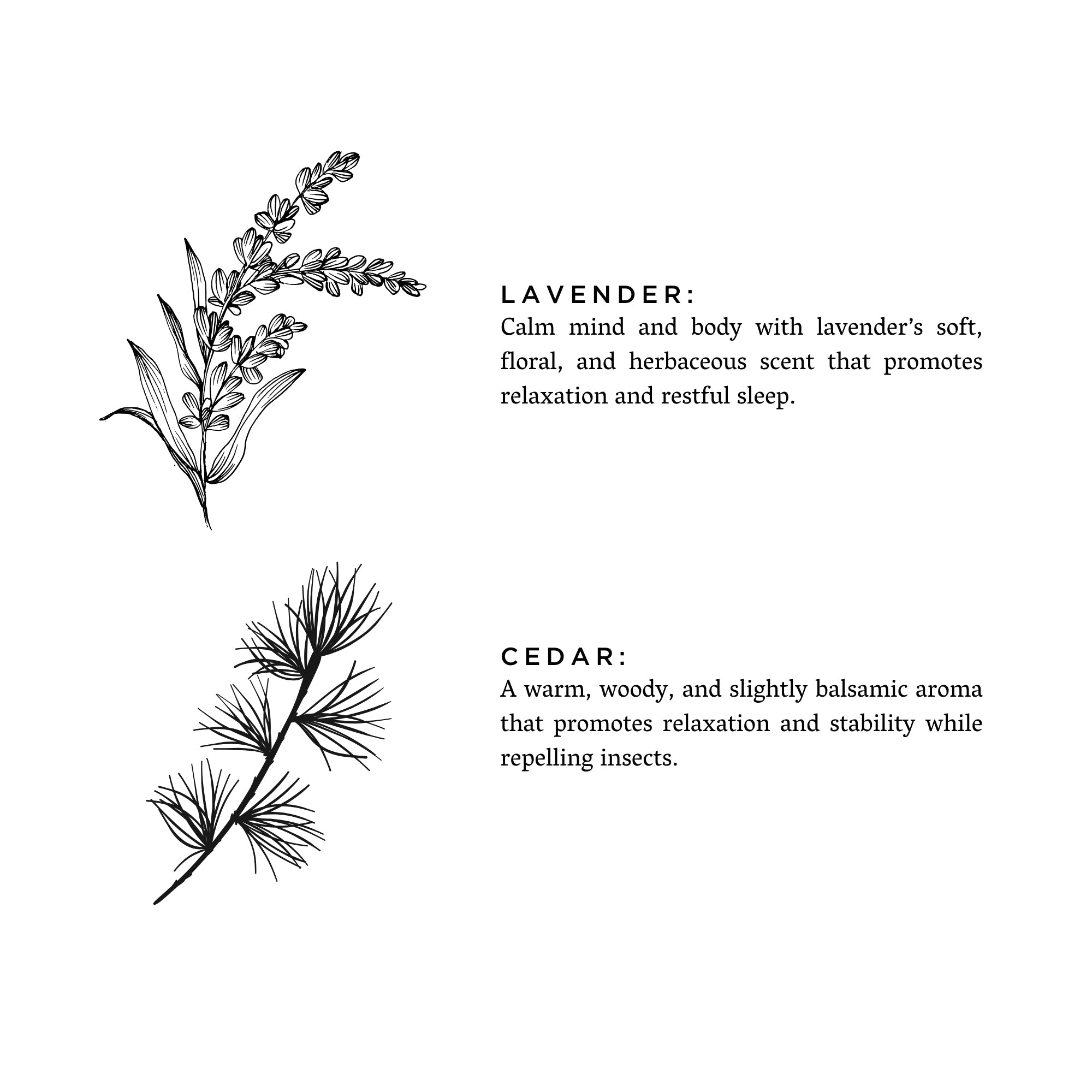 Lavender + Cedar - Signature Soy Wax Candle