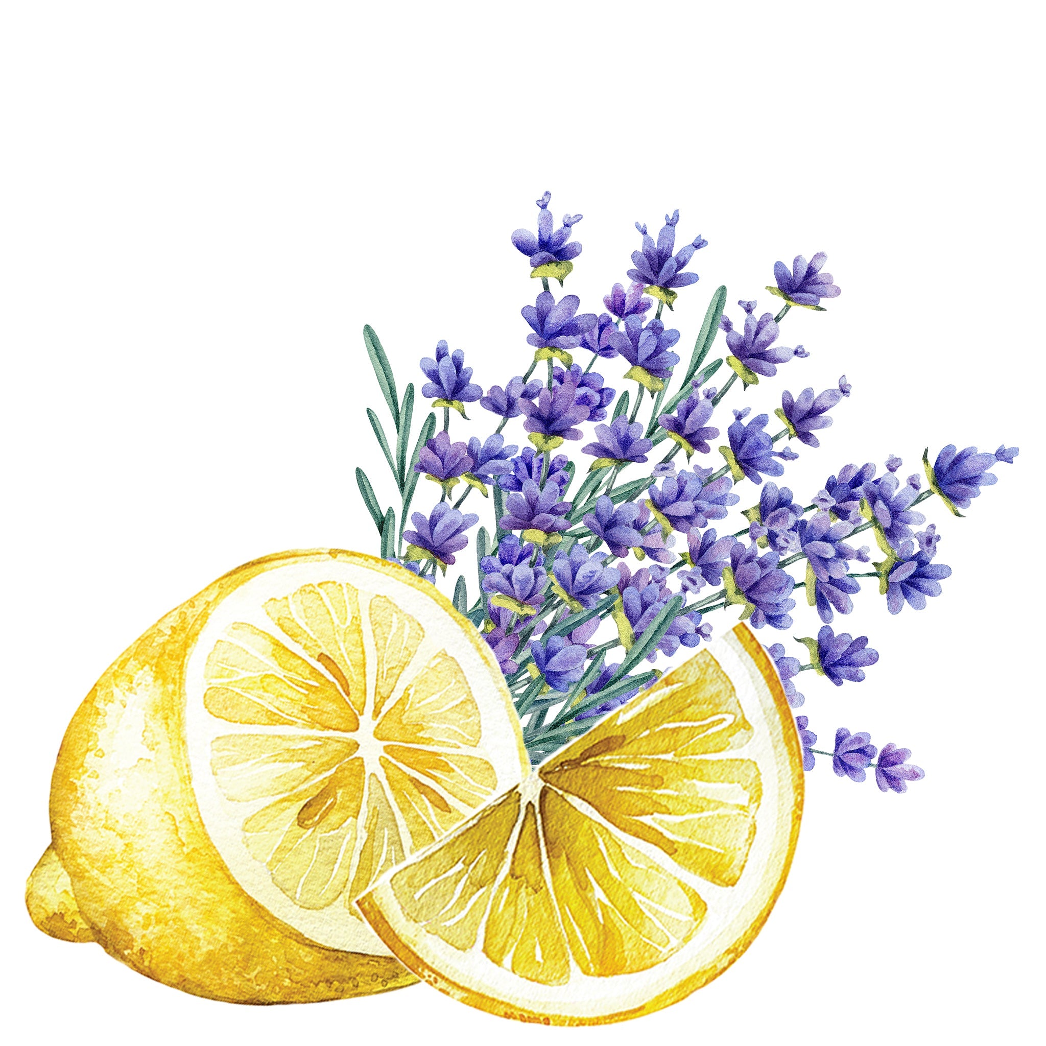 Hand Soap | Lavender & Lemon