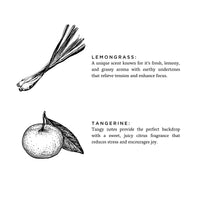 Lemongrass + Tangerine - Signature  Soy Wax Candle