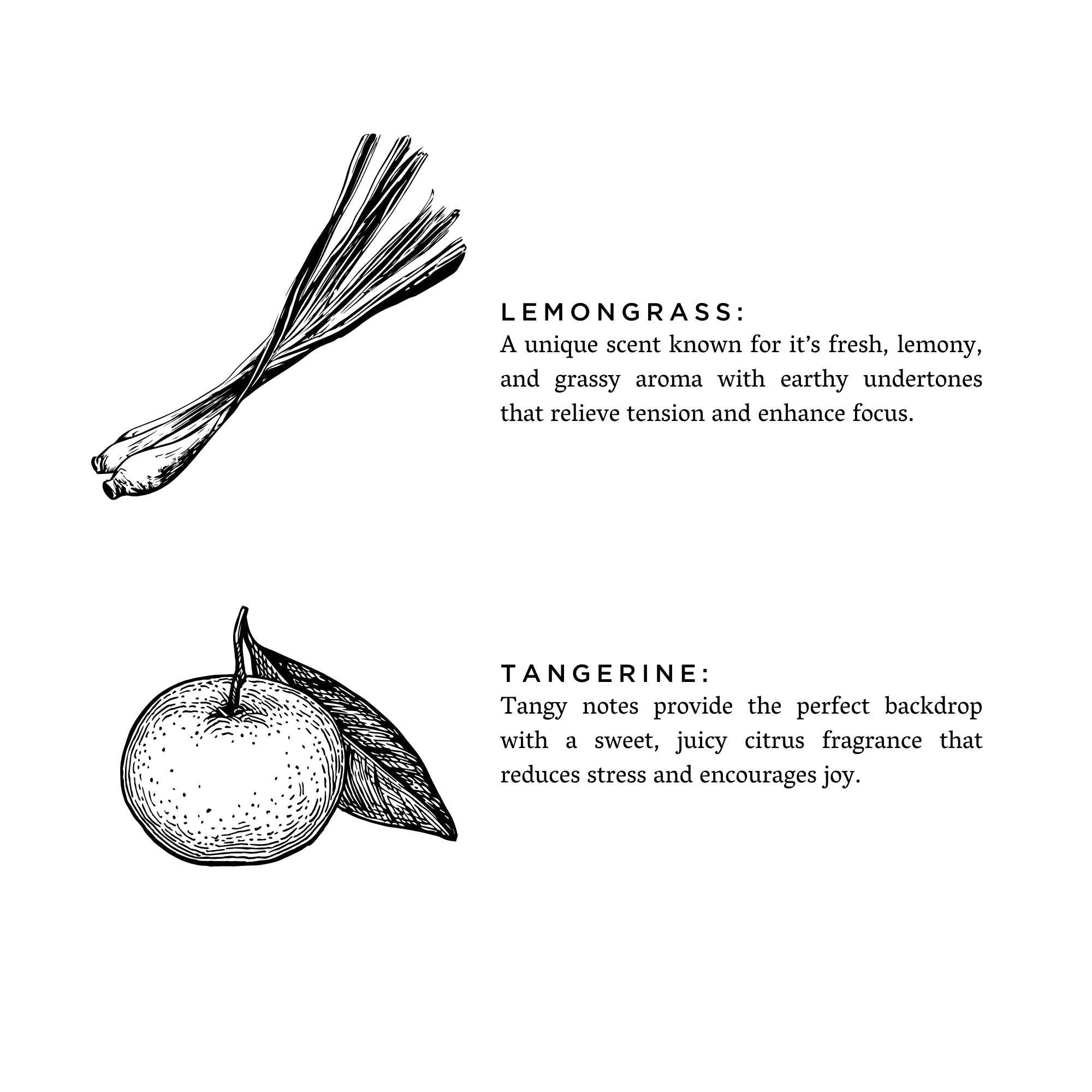 Lemongrass + Tangerine - Signature  Soy Wax Candle