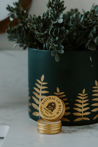 Revive Homestead's natural vanilla mint lip balm sits stacked in front of a leafy potted plant.
