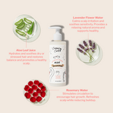 Nourish + Grow Starter Set