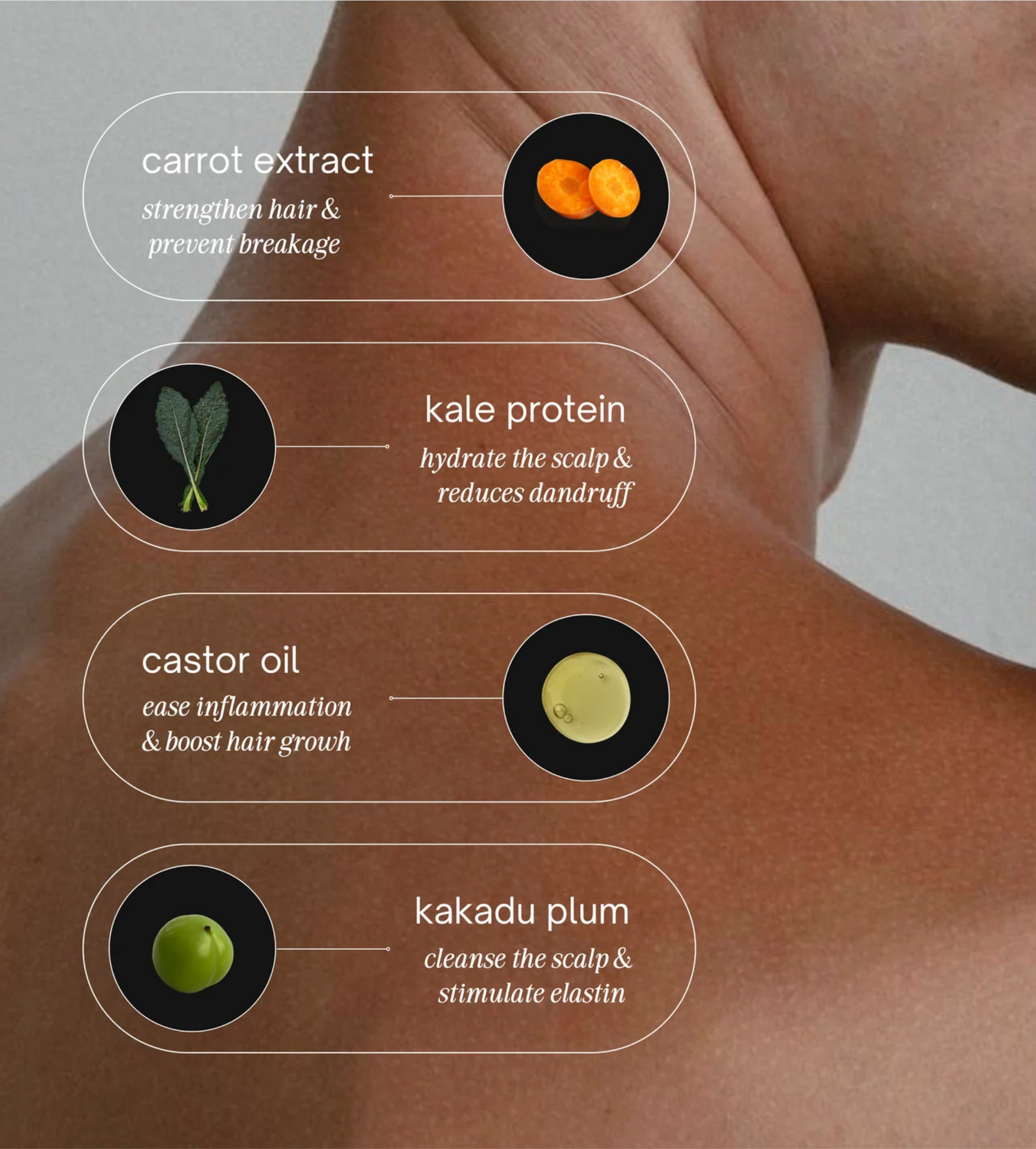 Close-up shows the benefits of carrot extract, kale protein, castor oil, and kakadu plum ingredients for stronger, hydrated, and healthy hair and scalp.