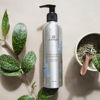 Annmarie's Sweet Sunrise Conditioner bottle sits alongside fresh herbs and a leafy green plant, showcasing natural hair care.
