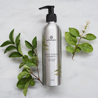 Annmarie's Sweet Sunrise Shampoo, a herb-infused hair wash, rests on a white marble surface surrounded by wet green foliage.

