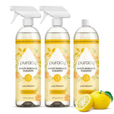 Everyday Multi-Surface Cleaner
