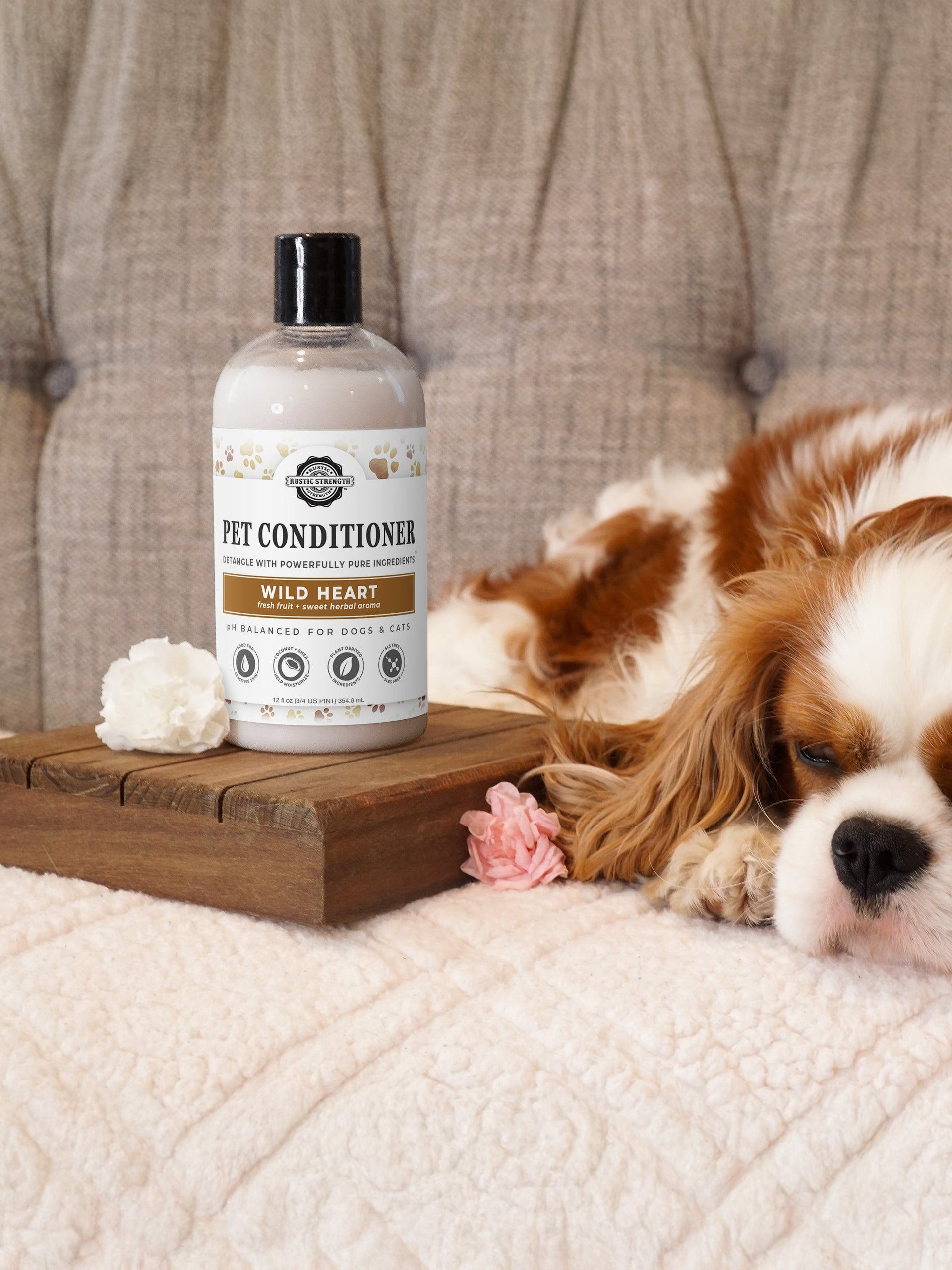 Pet conditioner bottle with a dog lying on a couch