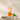 Pet Stain & Odor Remover