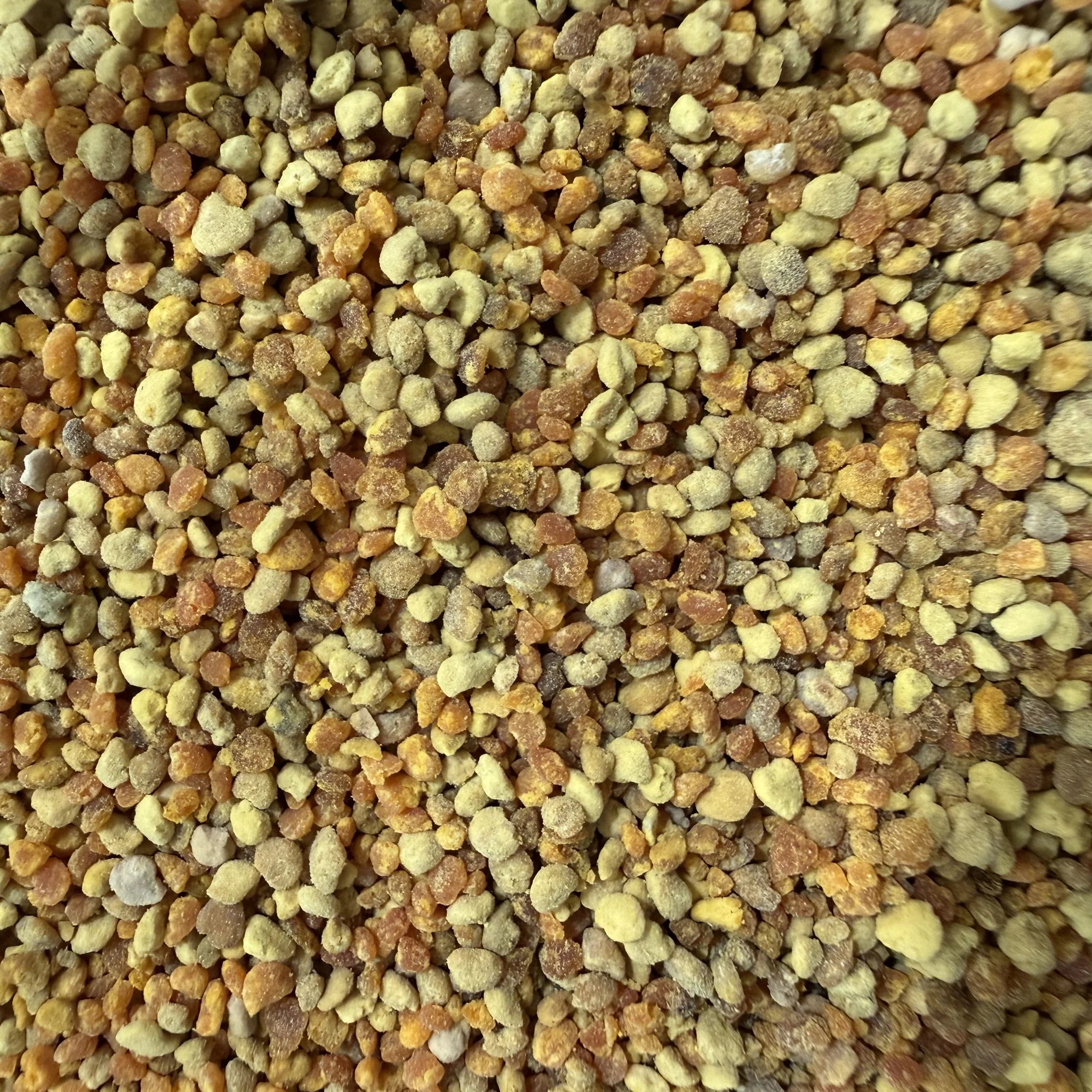 Bee Pollen