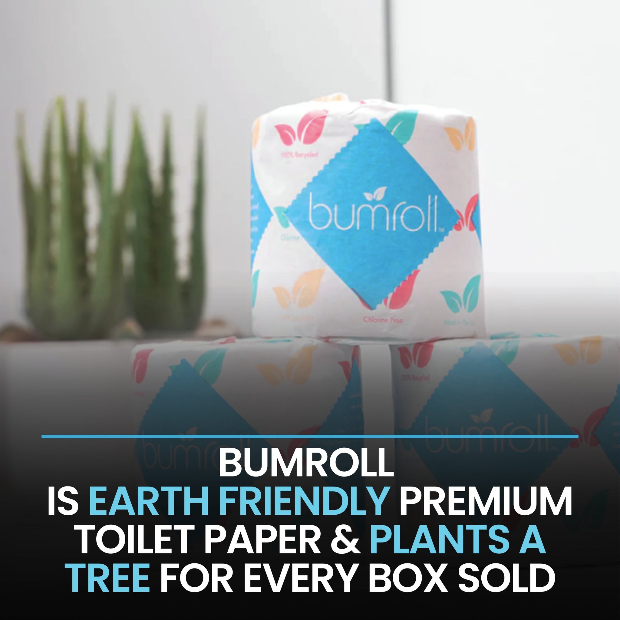 Premium Toilet Paper & Paper Towels