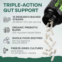 Prebiotics & Probiotics – Gut Health & Digestion Support