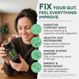 Prebiotics & Probiotics – Gut Health & Digestion Support