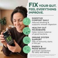 Prebiotics & Probiotics – Gut Health & Digestion Support