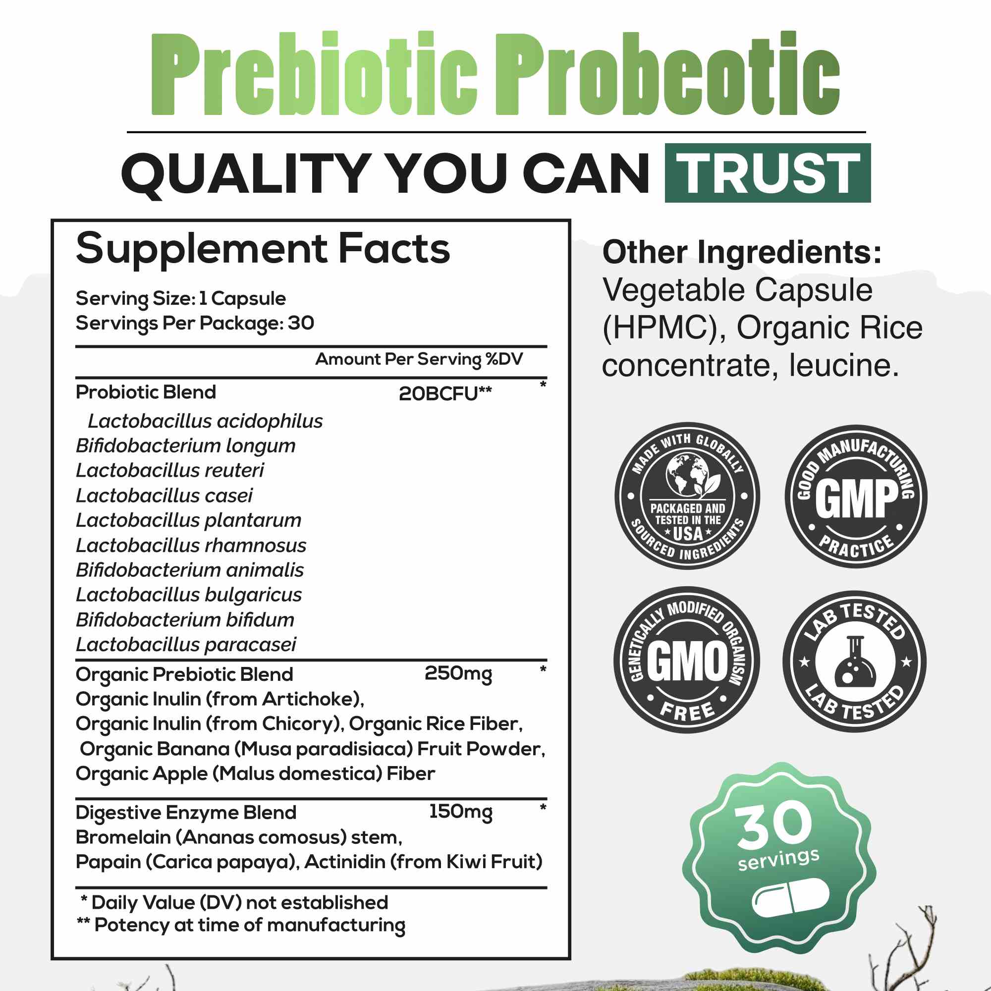 Prebiotics & Probiotics – Gut Health & Digestion Support
