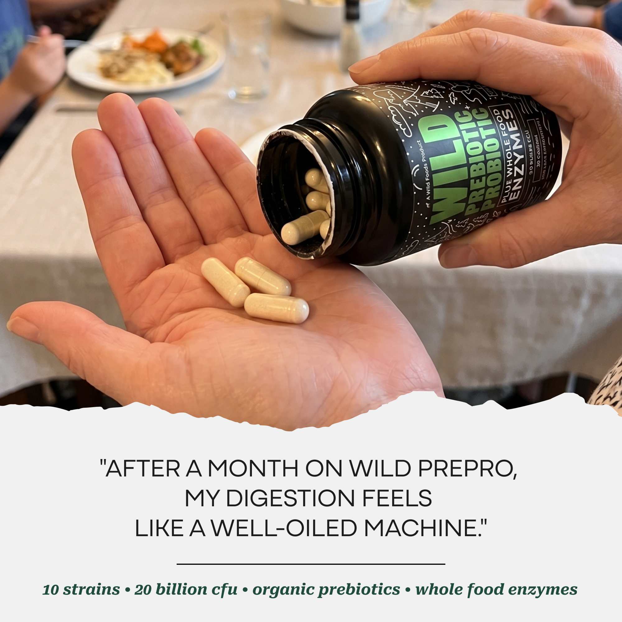 Prebiotics & Probiotics – Gut Health & Digestion Support
