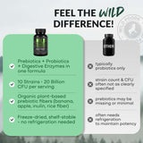 Prebiotics & Probiotics – Gut Health & Digestion Support