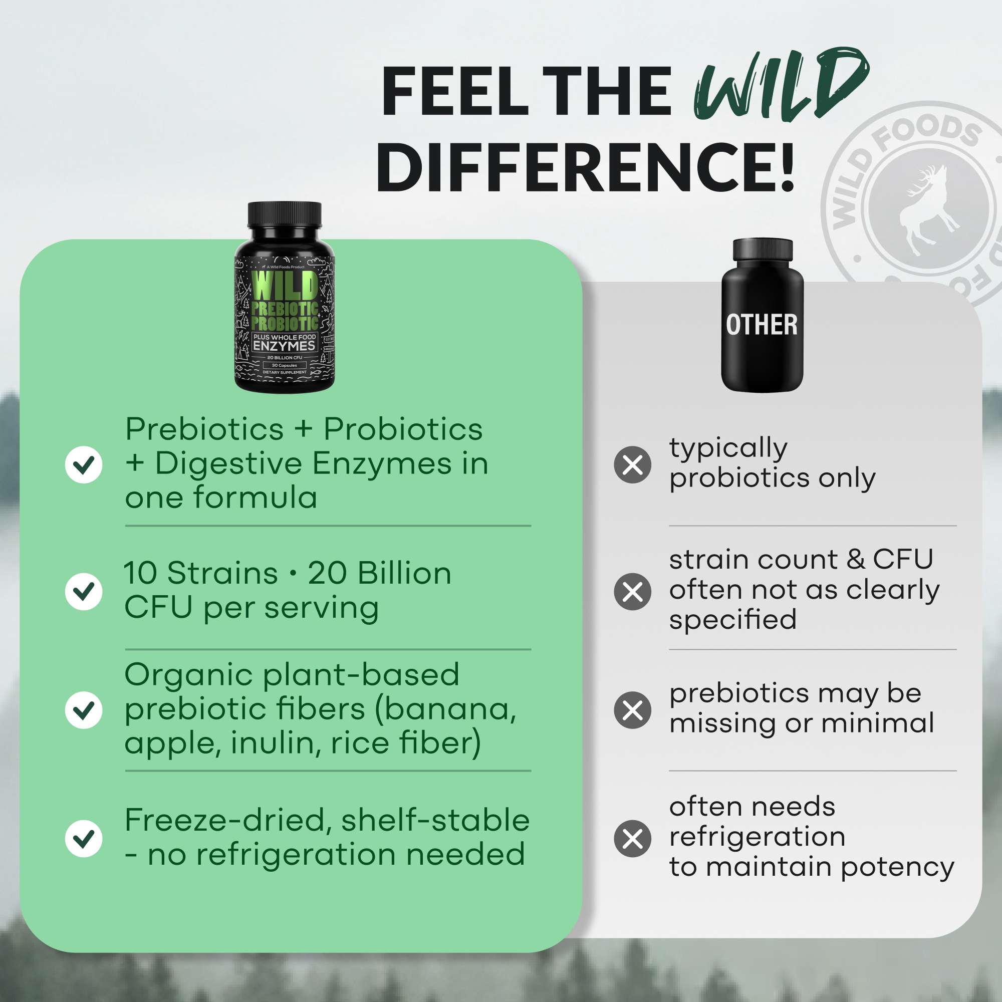 Prebiotics & Probiotics – Gut Health & Digestion Support