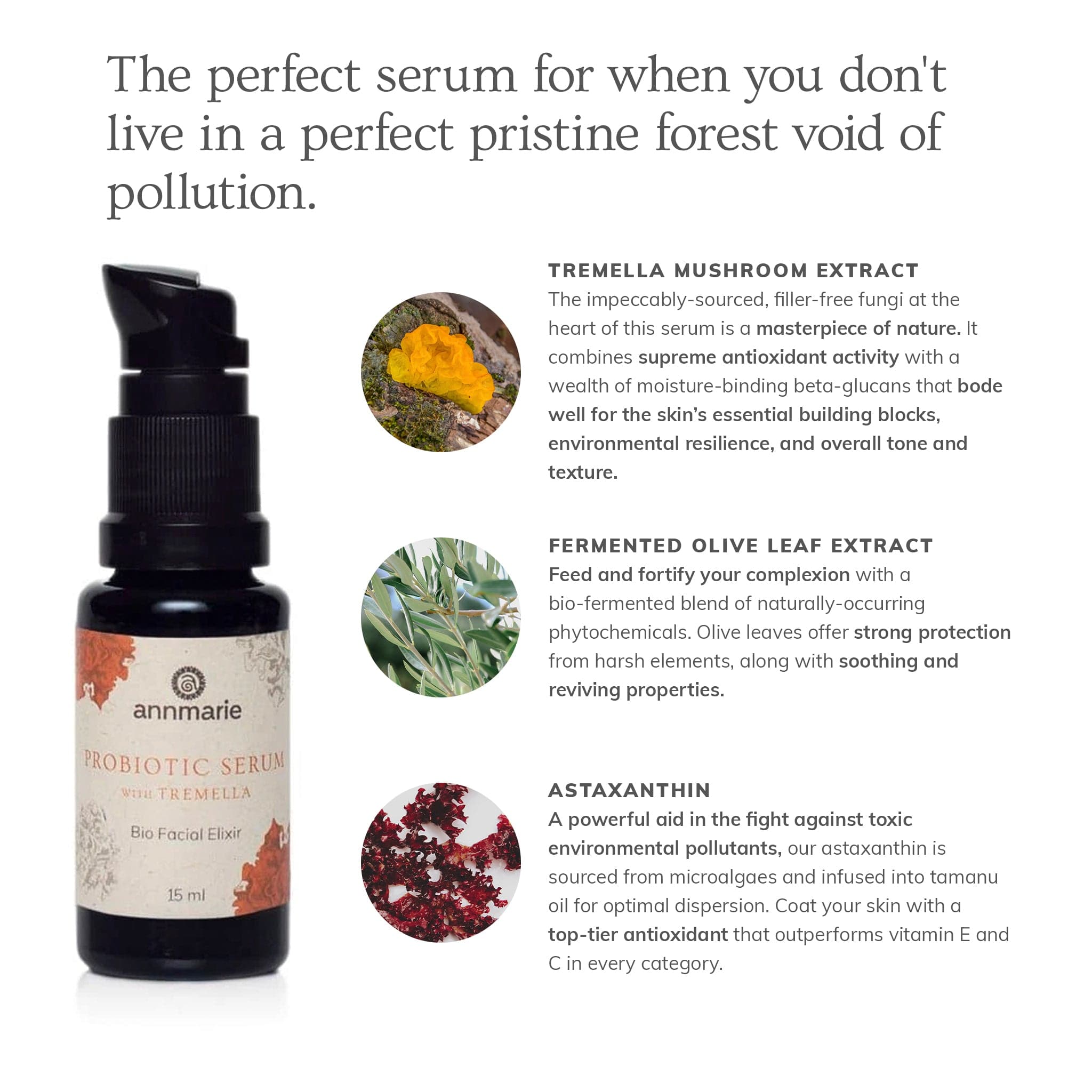 Annmarie Probiotic Serum, enriched with tremella mushroom, fermented olive leaf, and astaxanthin, offers antioxidant protection for a healthy complexion.
