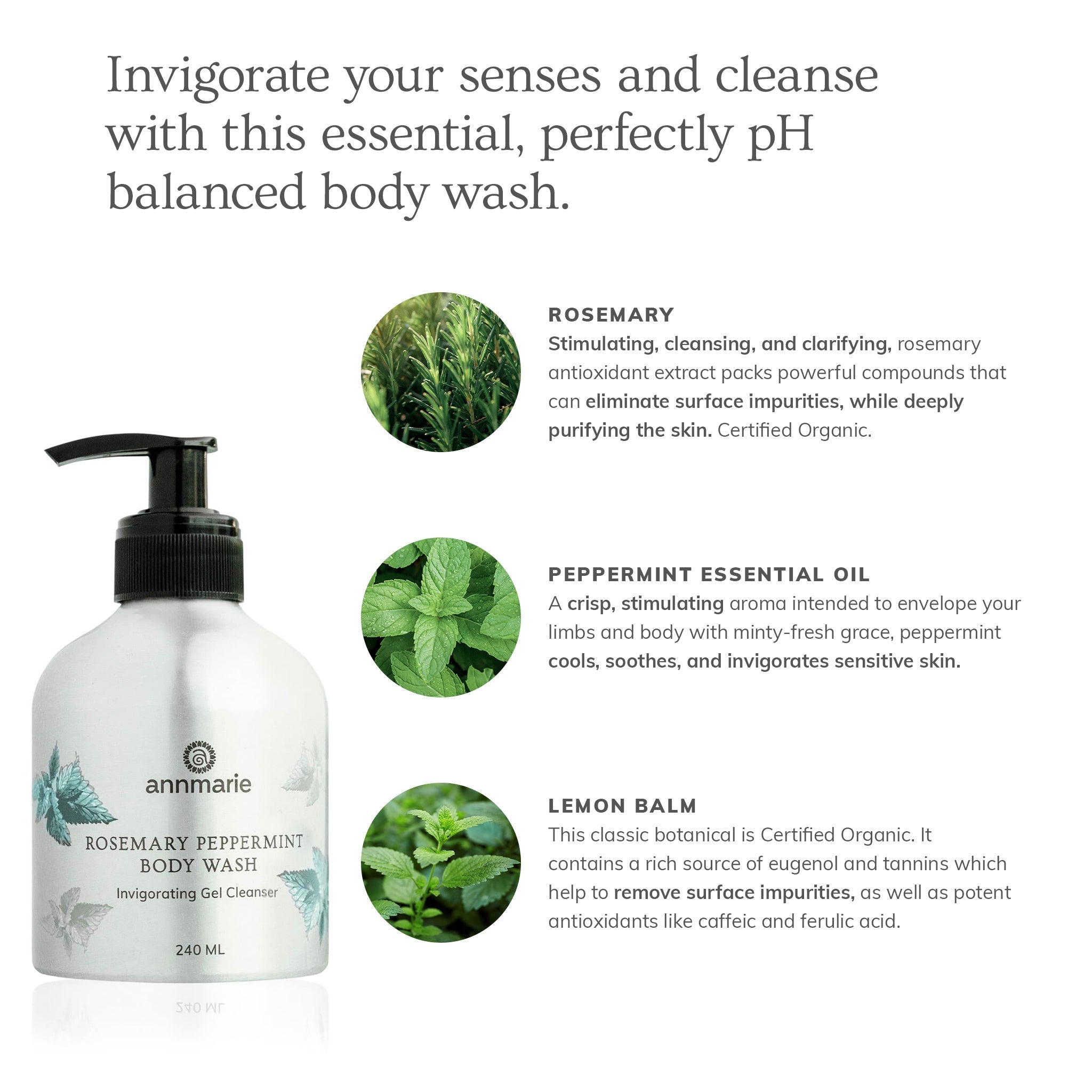 Annmarie Rosemary Peppermint Body Wash, a gel cleanser with essential oils, promises an invigorating and purifying experience.
