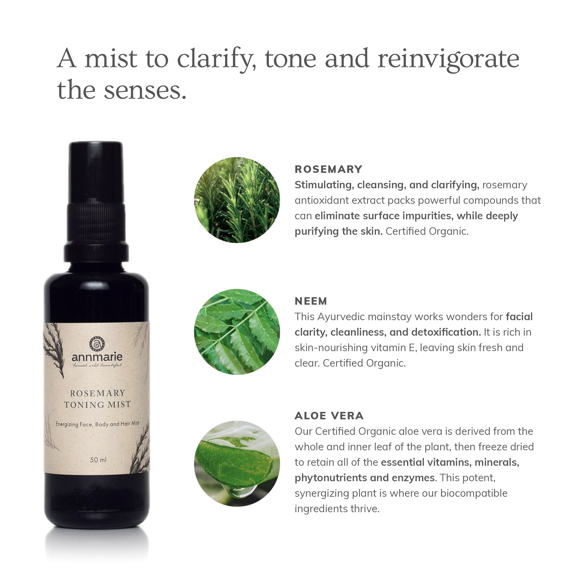 Annmarie Rosemary Toning Mist features natural ingredients like rosemary, neem, and aloe vera for clarifying and energizing skin.
