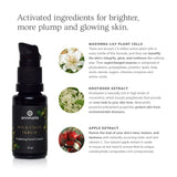 Annmarie Wild Fruit Serum bottle promotes brighter skin with Madonna Lily, Knotweed, and Apple extracts.
