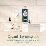 Everyday Multi-Surface Cleaner