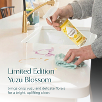 Everyday Multi-Surface Cleaner