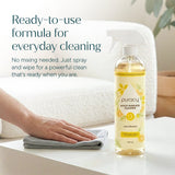 Everyday Multi-Surface Cleaner