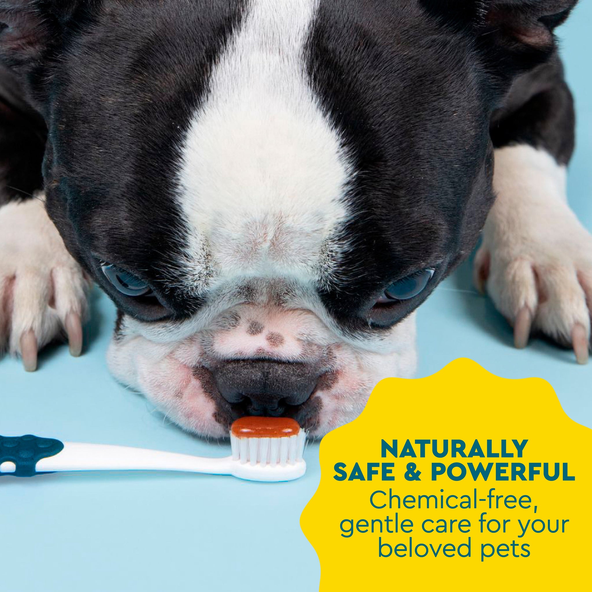 USDA Organic Canine Toothpaste