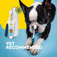 Organic Canine Dental Kit with FREE Critter Case