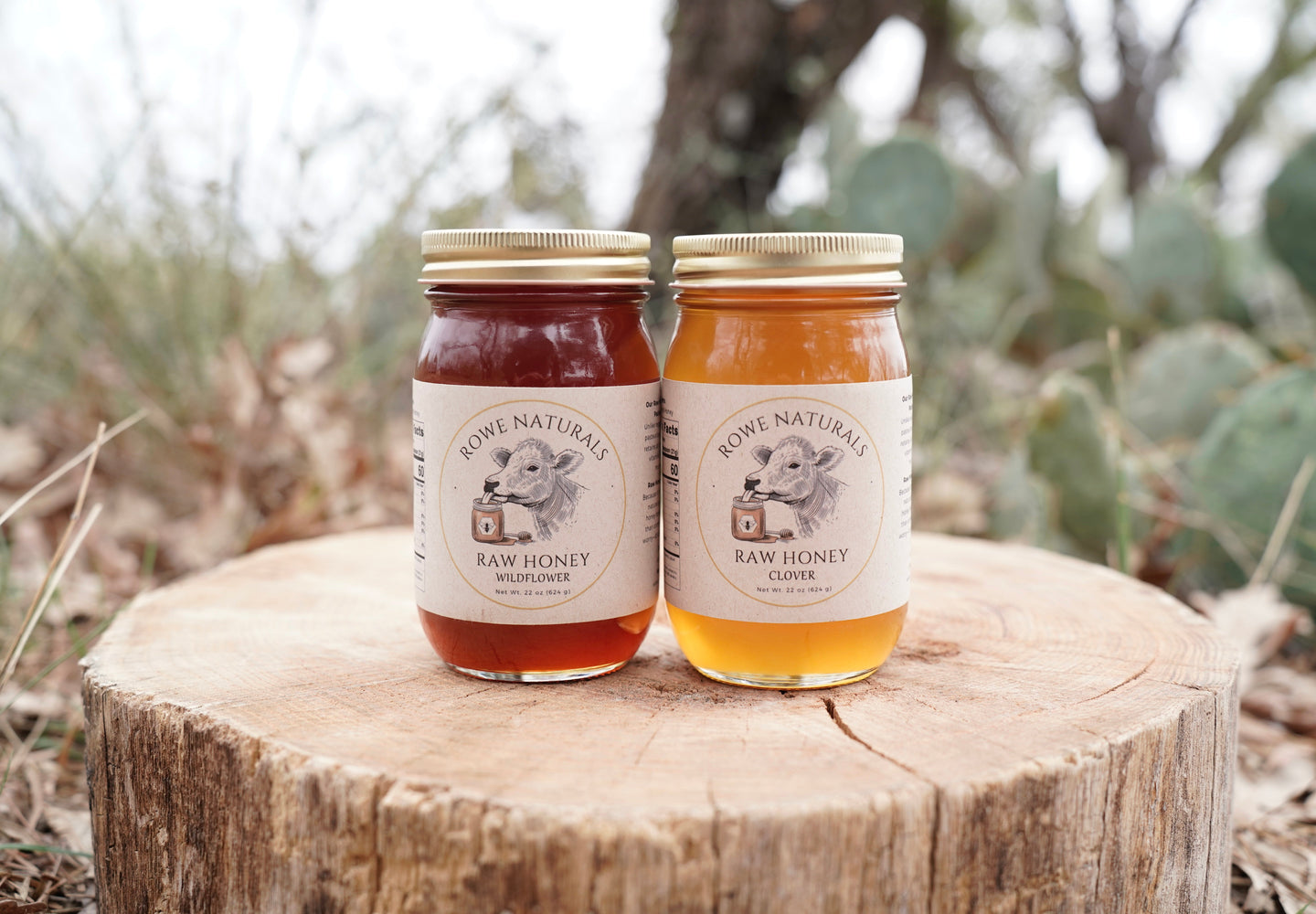 Raw Wildflower & Clover Honey Bundle