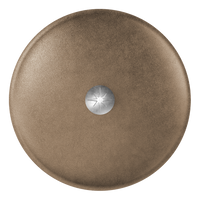 12-Inch Cast Iron Lid