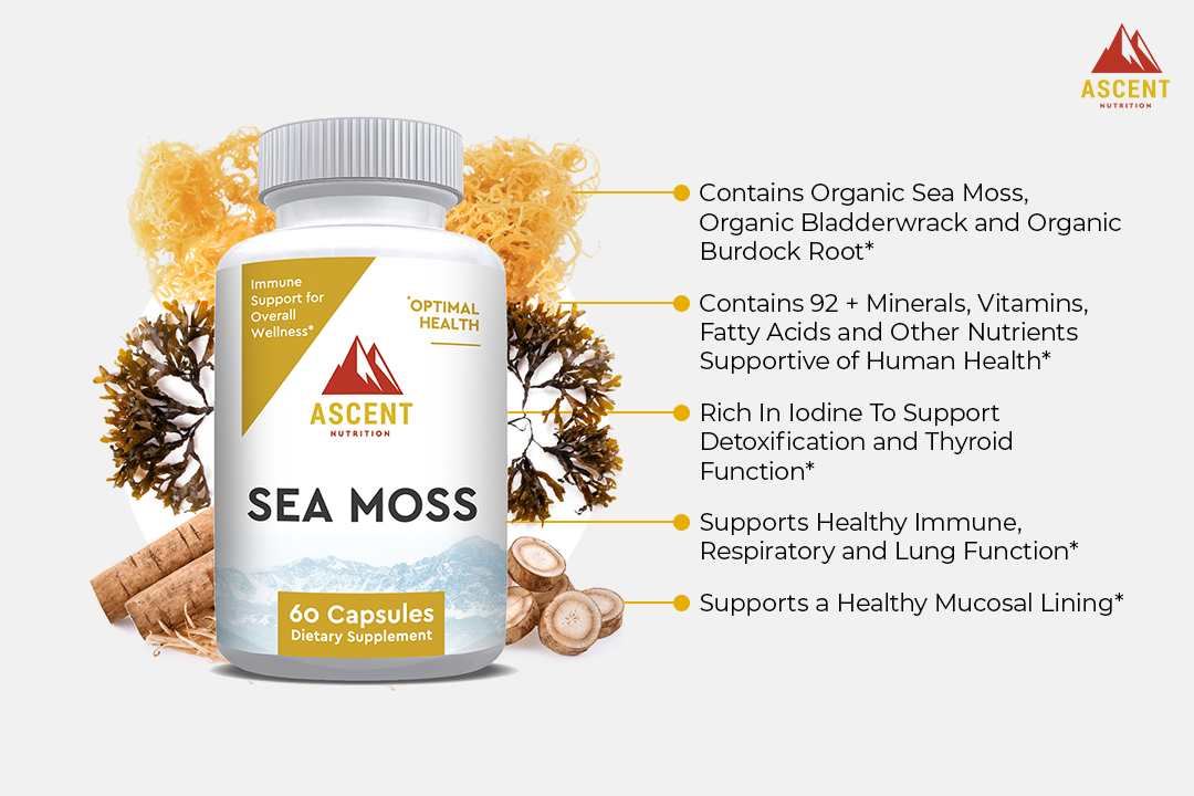 Ascent Nutrition's Sea Moss supplement bottle highlights its organic ingredients and benefits for immune support, detoxification, and overall health.
