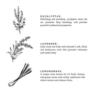 Shangri-La Soy Wax Candle | Eucalyptus + Lavender + Lemongrass