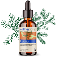 Shatavari - Tincture