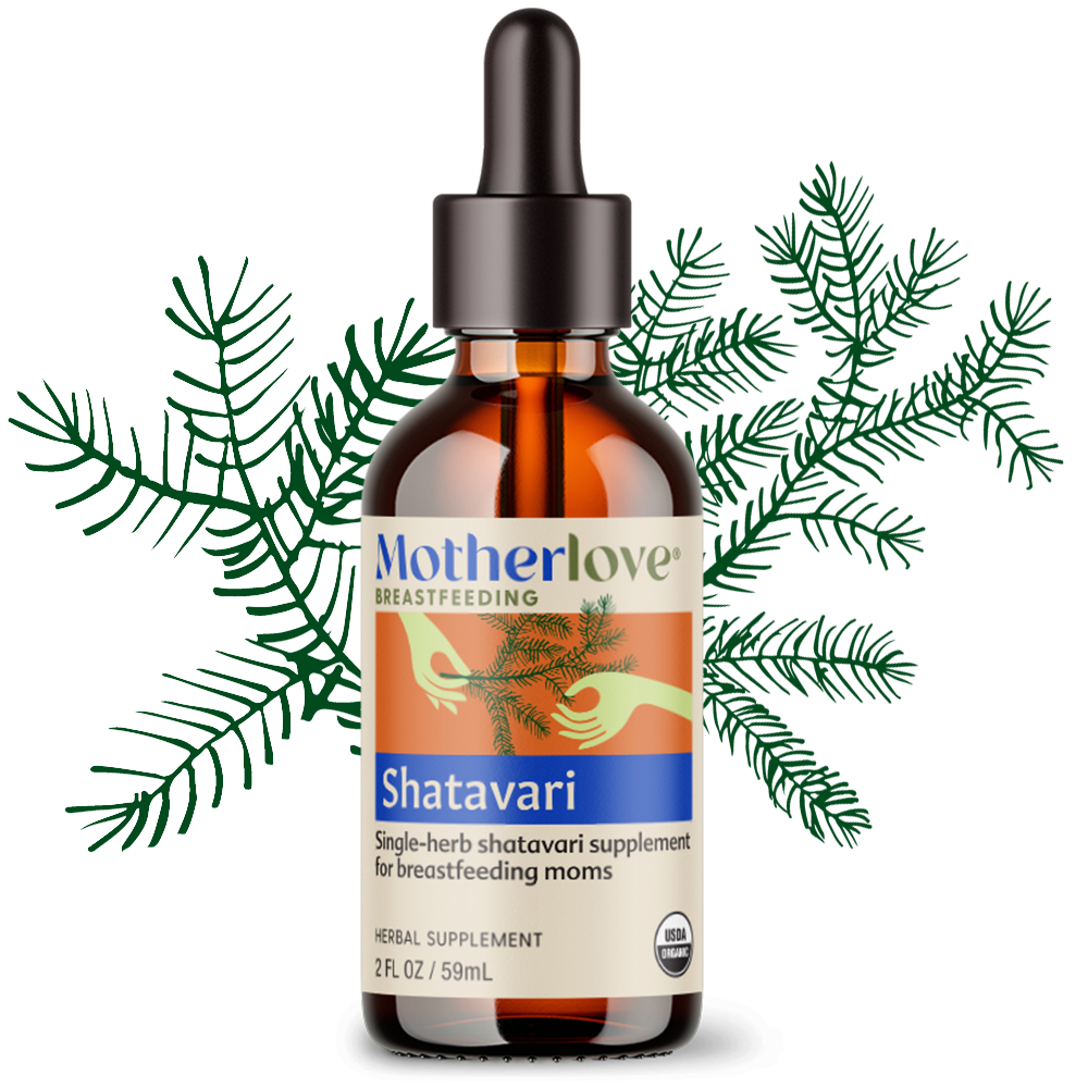 Shatavari - Tincture