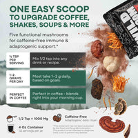 Master Mushrooms Blend, 110 servings – Immune Boosting Adaptogenic Mushrooms