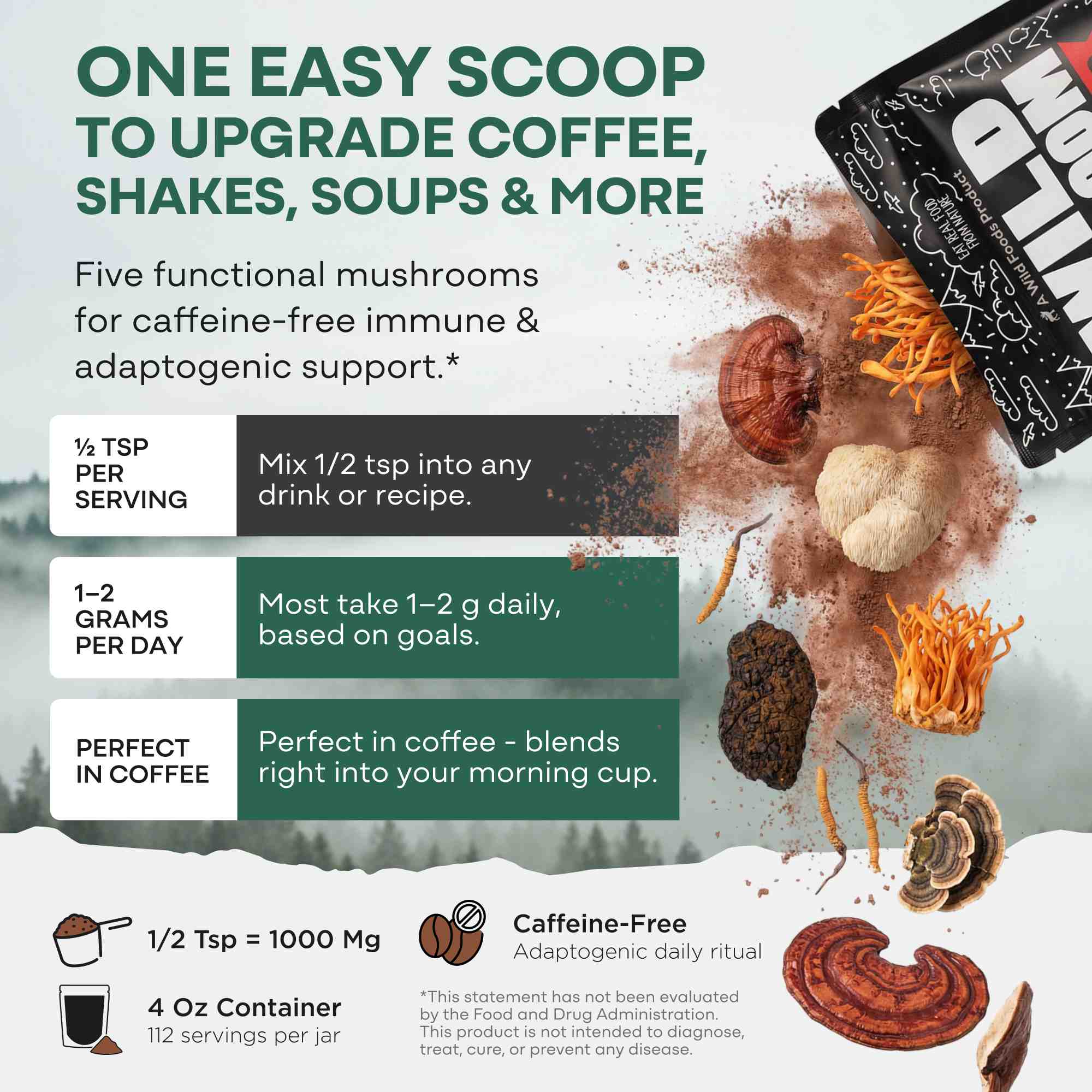 Master Mushrooms Blend, 110 servings – Immune Boosting Adaptogenic Mushrooms