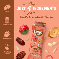 Peanut Butter & Jelly Kids Bar