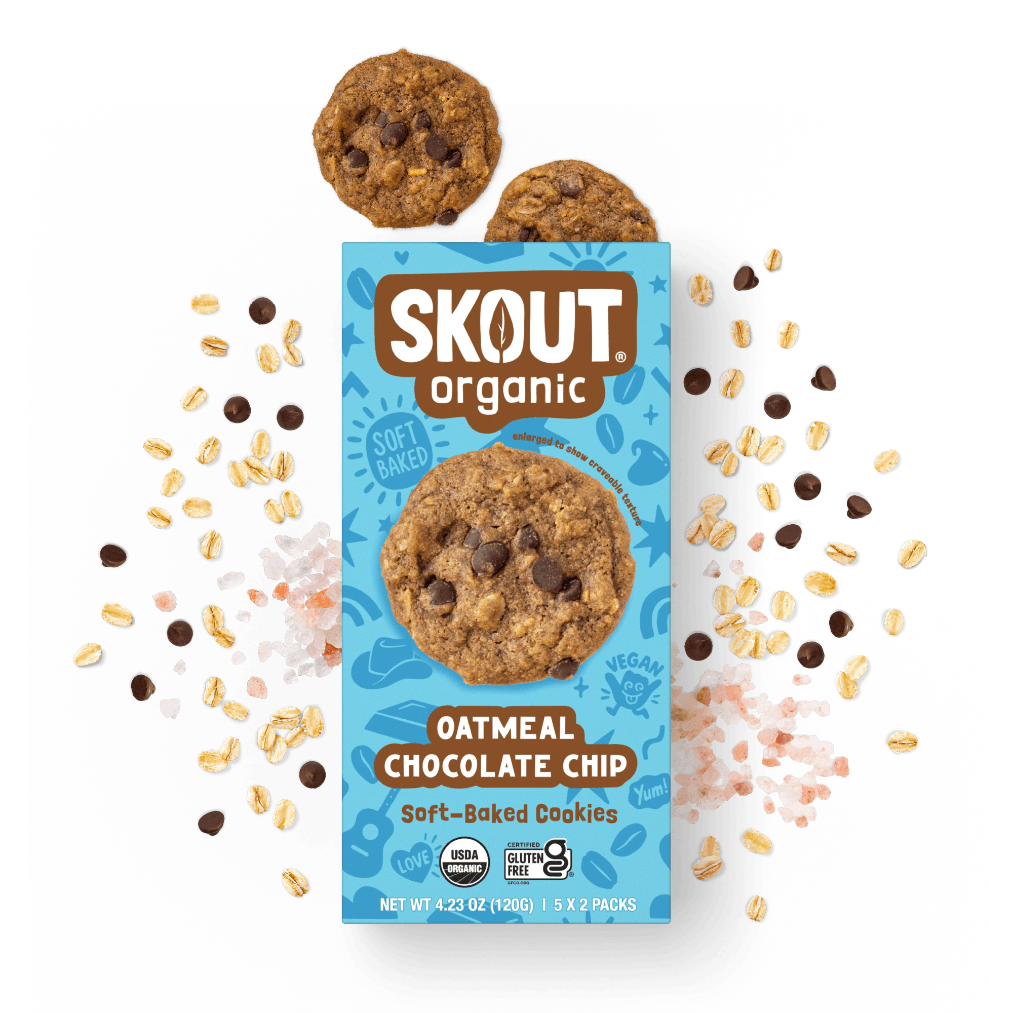 Oatmeal Chocolate Chip Soft Baked Cookies