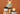 A hand places a round beige soap bar into a stacked ceramic soap dish. In the foreground, a jar labeled 'Essential Oil Beewax Melts' stands on a wooden block next to a white cup filled with coffee beans and another soap bar resting on coffee.