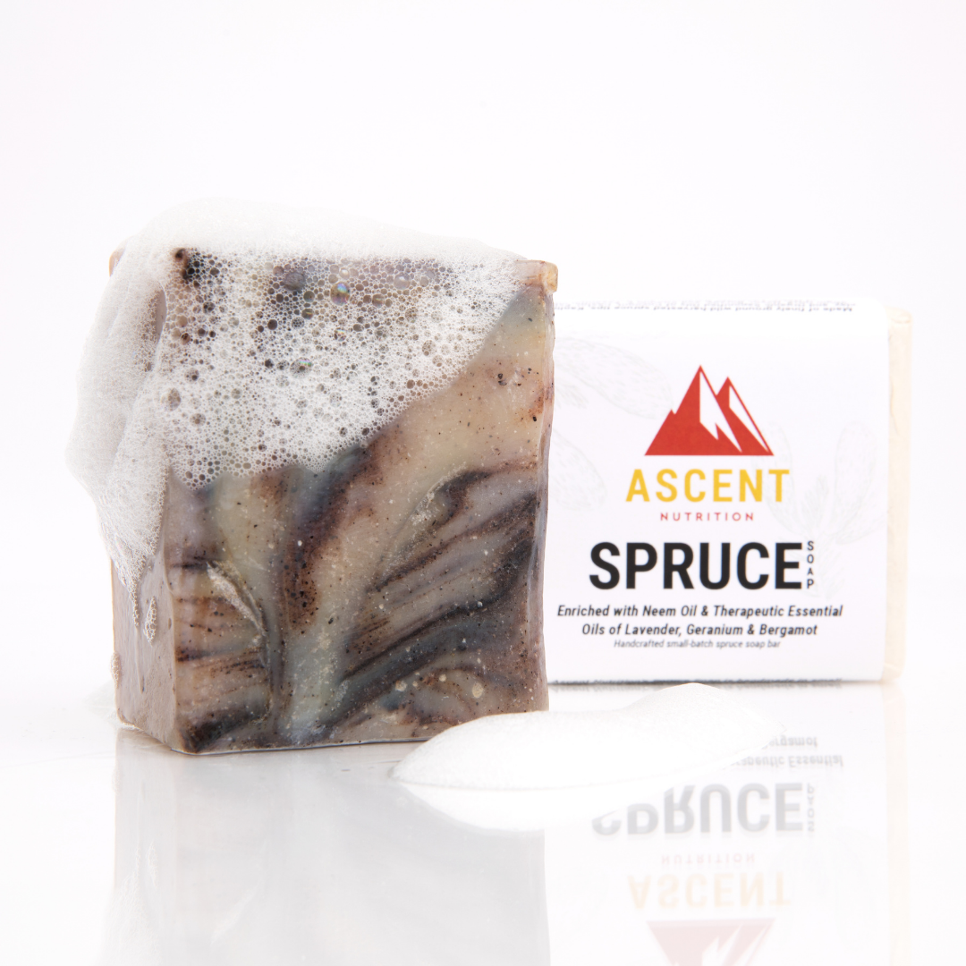 Foamy Ascent Nutrition Spruce soap bar sits next to its packaging on a reflective white surface.
