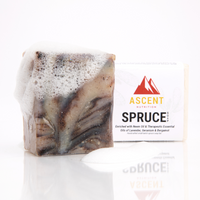 Foamy Ascent Nutrition Spruce soap bar sits next to its packaging on a reflective white surface.
