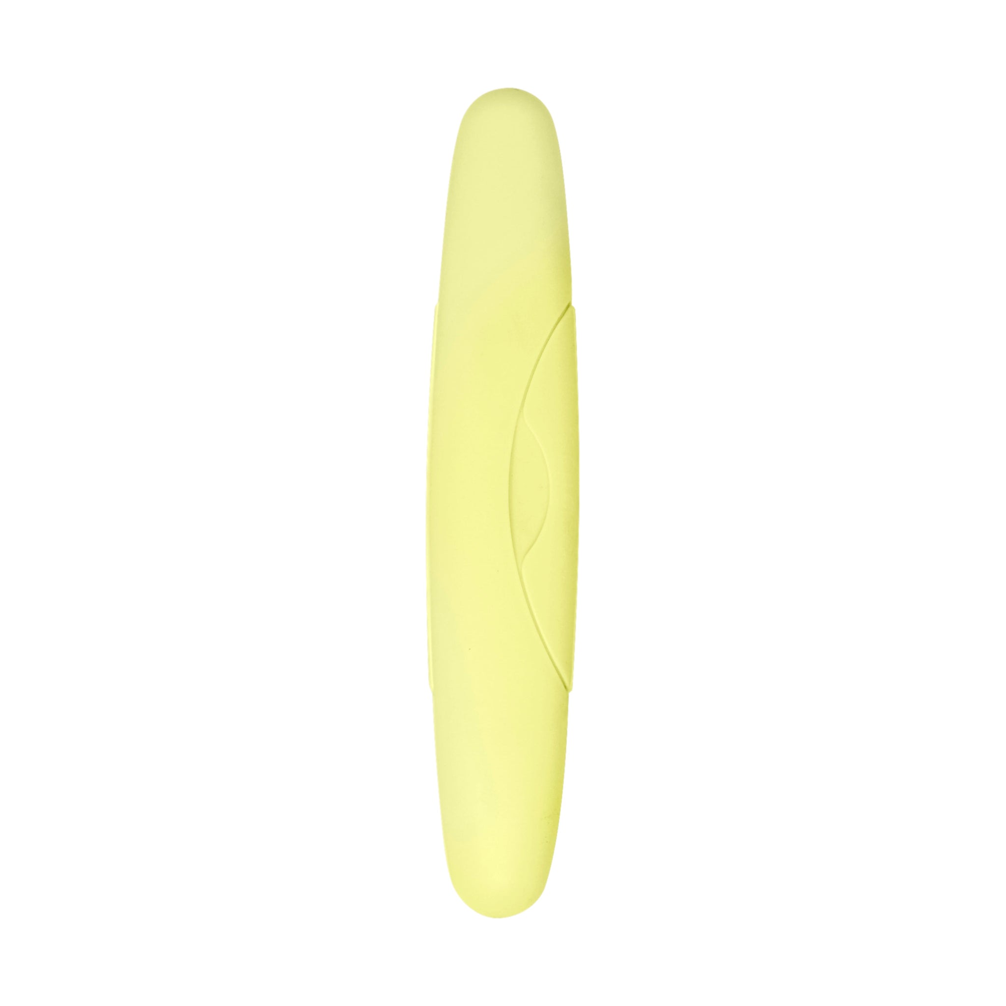 Standard Toothbrush Case
