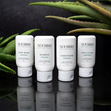 Botanical Sample Set | Viridian Grove