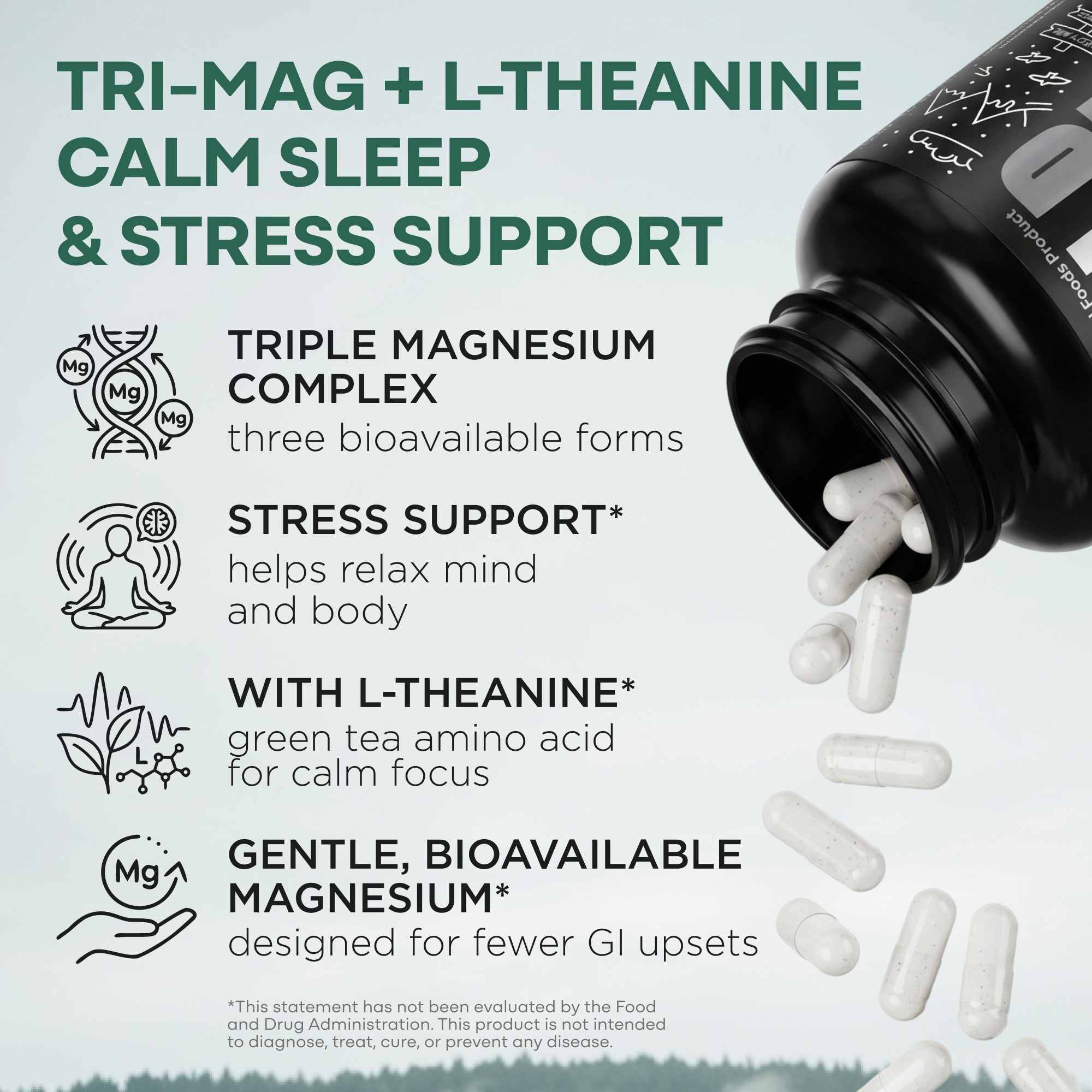 Wild Triple-Magnesium Complex & L Theanine