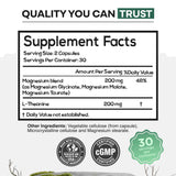 Wild Triple-Magnesium Complex & L Theanine