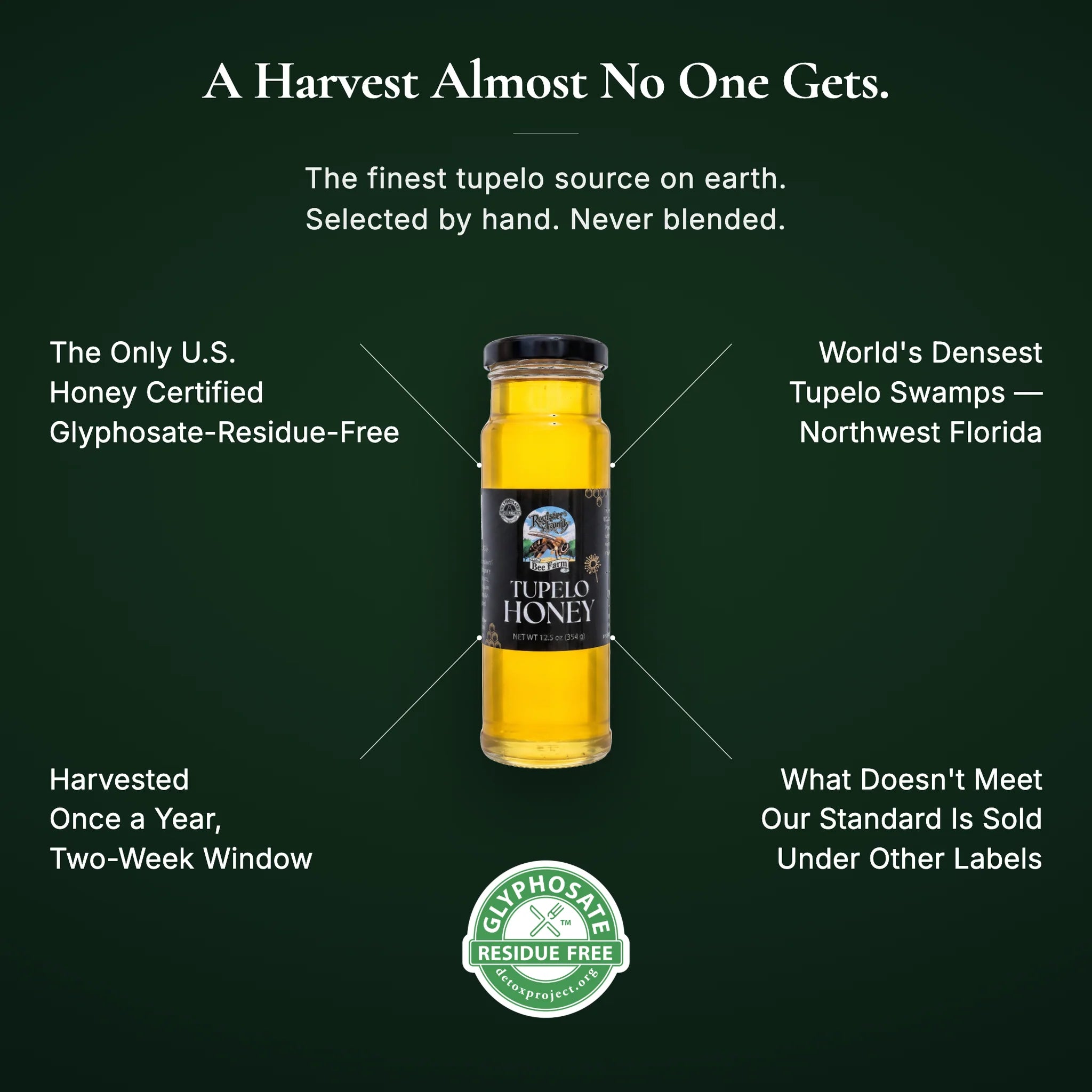 Raw Tupelo Honey Glass Jar