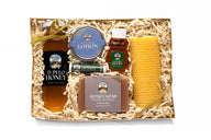 Showcase a Register Family Bee Farm gift box featuring tupelo honey, wildflower honey, honey lotion, honey soap, lip balm, and a beeswax candle.