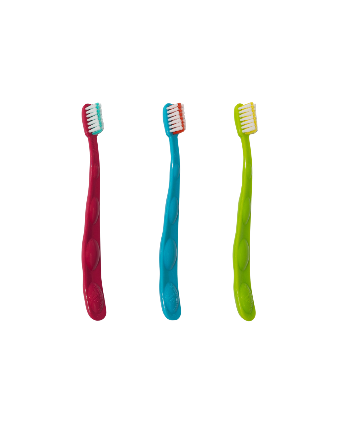 Three colorful toothbrushes stand upright, displaying their red, blue, and green handles and white bristles with colored accents for dental care.
